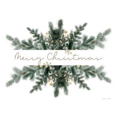 a merry christmas card with pine branches and berries on the bottom, in white background