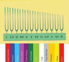 Chromatic Scale, Color Therapy Healing, Tuning Forks, Vibrational Medicine, Color Healing, Tuning Fork, Sound Therapy, Shiatsu Massage, Energy Healing Spirituality