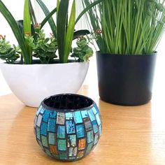 two potted plants sitting on top of a wooden table next to eachother