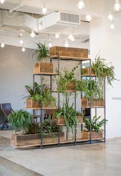 an indoor plant stand with plants on it and the words interest above it that says,