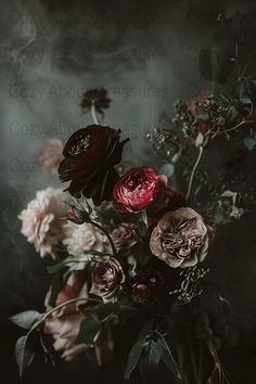 Immerse your space in the enigmatic charm of this dark floral wallpaper. Capturing the essence of gothic romance, these moody roses are a dramatic and stylish addition to any room. This digital download allows you to create breathtaking wall art or sophisticated backgrounds instantly. Ideal for those who appreciate the beauty and mystery of dark botanical prints. Aspect Ratio is 2:3 and will fit frame sizes 6x4, 8x12, 10x15, 12x18, 16x24, 20x30, 24x36, download and send over to your favorite onl Wallpaper Moody, Dark Floral Wallpaper, Winter Greenhouse, Flower Dance, Greenhouse Wedding, Photography Home, Moody Wedding, Wonderful Flowers, Flower Photography