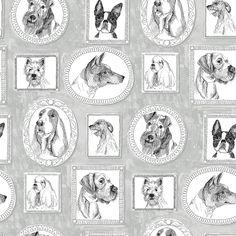 a drawing of dogs in different frames on a gray background with white border around them