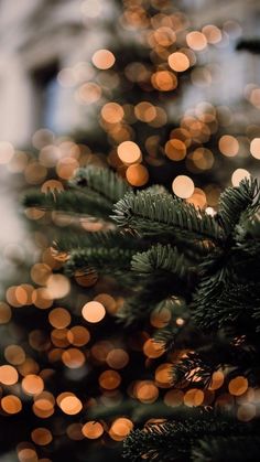 a close up of a christmas tree with blurry lights in the backround