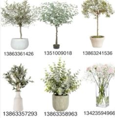 Bloxburg Plant Id Codes, Realistic Plant Codes Bloxburg, Bloxburg Plant Decals Codes Indoor, Indoor Plant Decals Bloxburg, Costal Decal Codes, Plant Decals Bloxburg Codes, Flower Decals Bloxburg, Bloxburg Plants, Bloxburg Plant Decals Codes