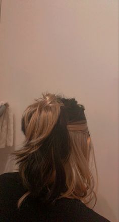 Dark Brown Hair With Bleached Underneath, Bleached Back Of Hair, Brown Top Blonde Bottom Hair, Dark Hair Light Underneath, Half Under Dyed Hair, Brown Blonde And Black Hair, Black Hair With Bleach Underneath, Light Brown Underneath Dark Brown, Half Dark Brown Half Light Brown Hair