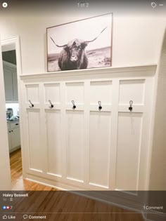 a white wall with hooks on it and a cow photo hanging above the coat rack