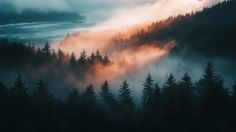 the sun is shining through the fog in the mountains and trees, as seen from above