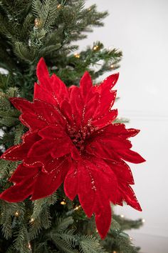 a red flower sitting on top of a christmas tree