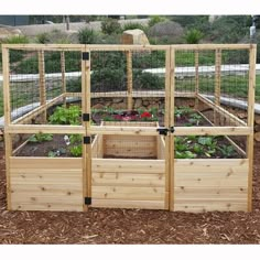 a wooden garden bed with plants growing in it