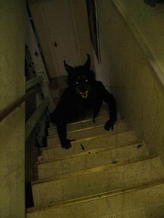 a black cat sitting on top of stairs next to an open door with the caption, what would u do if you saw this coming up your stairs?