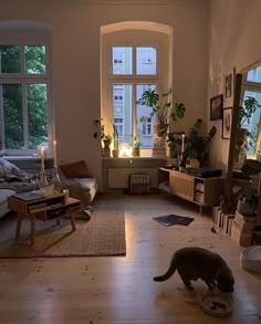 a cat eating food out of a bowl on the floor in front of a window