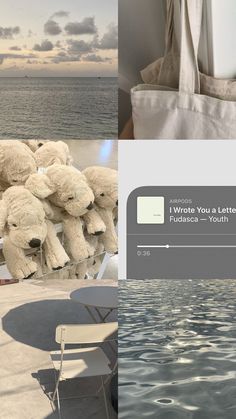 there is a collage of pictures with teddy bears on the beach and in the water