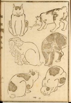 an old book with drawings of cats and dogs