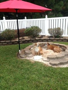 two dogs are sitting in a fire pit with an umbrella over it on the lawn