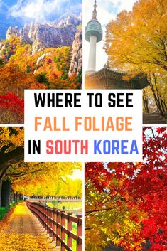 fall foliage in south korea with the words where to see fall foliage in south korea