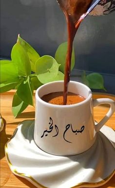 a coffee cup filled with liquid sitting on top of a white plate next to a green plant