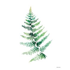 Watercolor Botanical III Poster Print - Rachel Nieman-VARPDXRN309 Image 1 Stock Paper, Fine Arts Posters, Botanical Prints, Paper Stock, Art Poster, Fine Art Print, Posters Art Prints, Poster Print, Vivid Colors