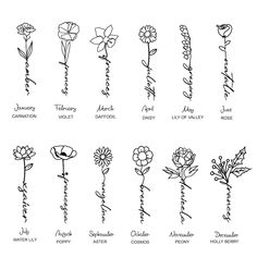 the different types of flowers that are drawn by hand on a white sheet with black ink