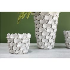 three white vases with flowers in them sitting on a table next to each other