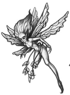 a black and white drawing of a fairy