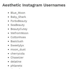 the list of aesthetic instagram usernames is shown in this screenshote