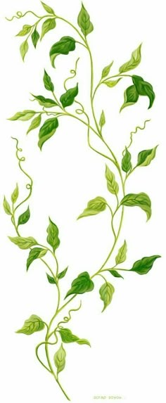 Artsy Drawings Aesthetic, Drawing Vines, Artsy Drawings, Leaves Drawing, Leaves Sketch, Plant Sketches, Ivy Plants, Vine Leaves