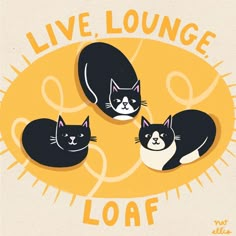 three black and white cats with the words live, lounge, loaf on them