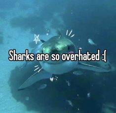 a shark swimming in the ocean with words that say sharks are so overrated i