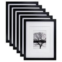 four black and white frames with a tree in the middle