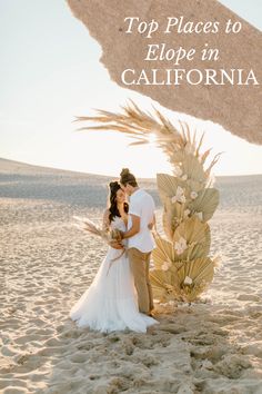 california elopement wedding in sand dunes with boho elopement wedding dress and pampas grass dried floral half moon ceremony arch Michigan Beach Wedding, Elopement Places, Best Elopement Locations, Greenhouse Venue, Silver Lake Sand Dunes, Michigan Elopement, Lake Michigan Wedding, Best Places To Elope, Michigan Beaches