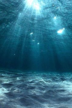 an underwater view of the ocean floor with sunlight shining down on the water's surface