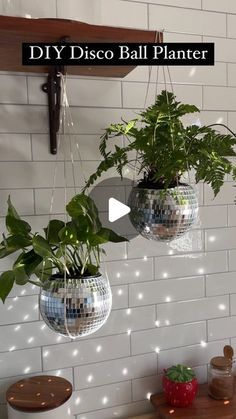 three disco ball planters hanging from a wall with lights around them and plants in them