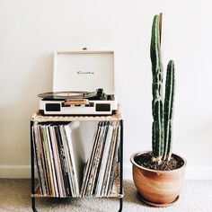 a record player sitting next to a cactus in a pot with vinyl records on it