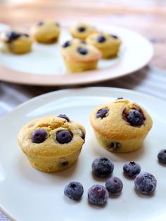 some blueberry muffins are on a white plate