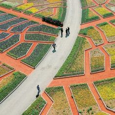 an aerial view of people walking on a path in the middle of a flower garden