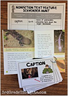 an information text feature scavenger hunt with pictures of animals, plants and insects