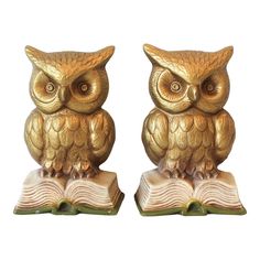 two gold owl figurines sitting next to each other on top of an open book