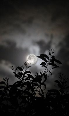 the moon shines brightly through the clouds in this dark night sky over some trees