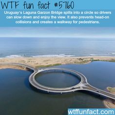 an aerial view of a bridge over water with the caption that reads, wftf fun fact 5 / 10