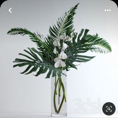 a vase filled with white flowers and green leaves