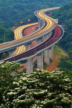 an aerial view of a highway with multiple lanes in the middle and trees on both sides