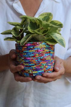 a person holding a potted plant in their hands