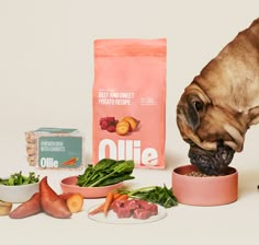 a pug eating out of a bowl next to some vegetables and other food items