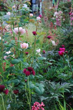 many different types of flowers in a garden