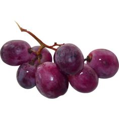 some grapes are hanging from a branch on a white background