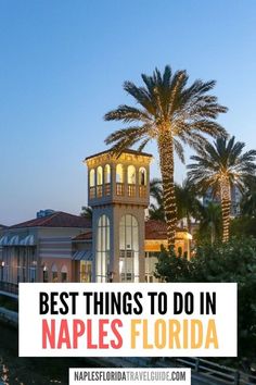 the best things to do in naples florida