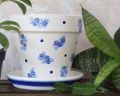 two potted plants sitting next to each other on a wooden shelf with blue and white designs