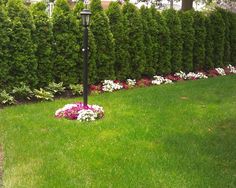 a lamp post in the middle of a lawn with flowers around it and bushes behind it