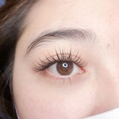 Korean Lashes Extensions, Eyelash Extensions Styles Asian Eyes, Simple Eyelash Extensions Styles, Asian Lash Lift, Classic Lash Extensions Asian Eyes, Monolid Lash Extensions, Korean Lash Extensions, Eyelash Extensions Korean, Asian Lash Extensions