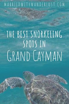 the best snorkeling spots in grand cayman, with text overlay